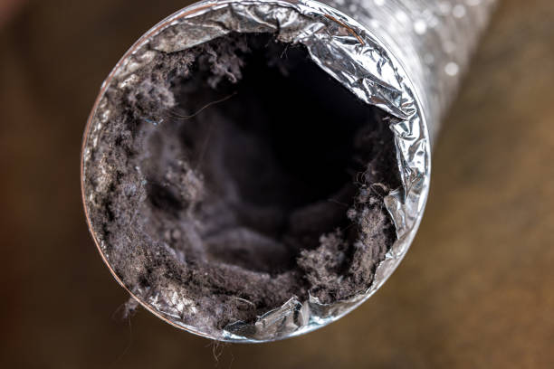 Best Affordable Air Duct Cleaning  in La Grange, TX